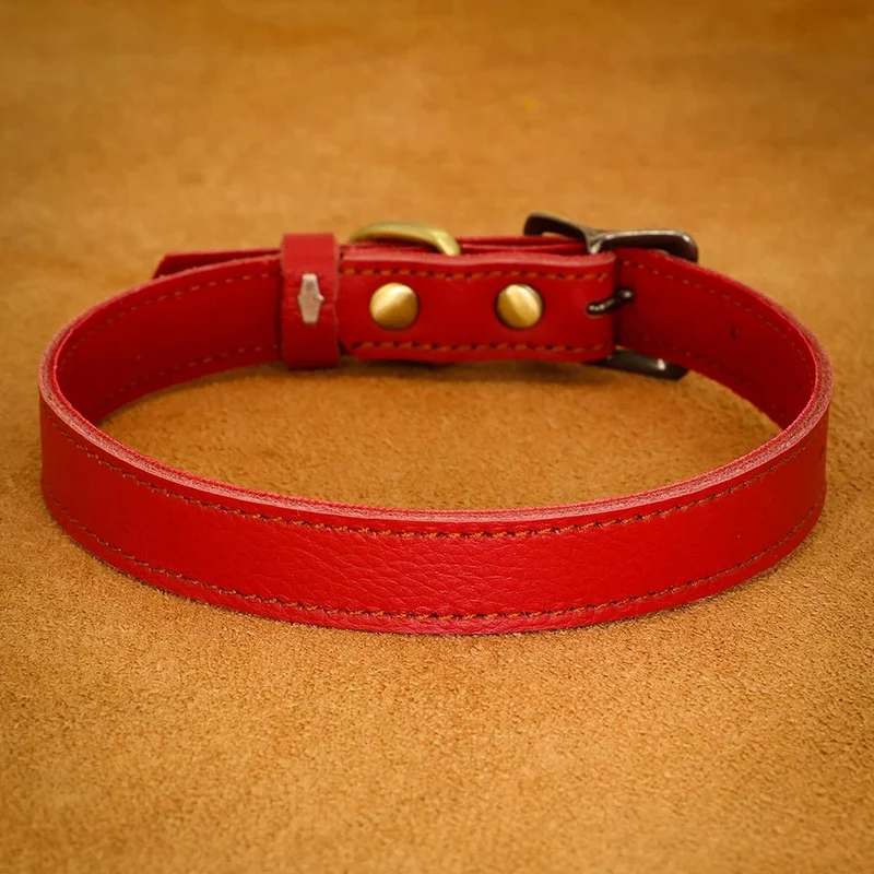 Collier ajustable en cuir pour chien