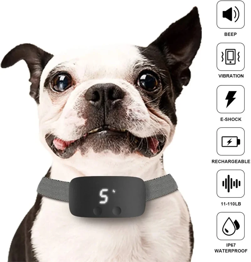 Collier automatique anti-aboiement