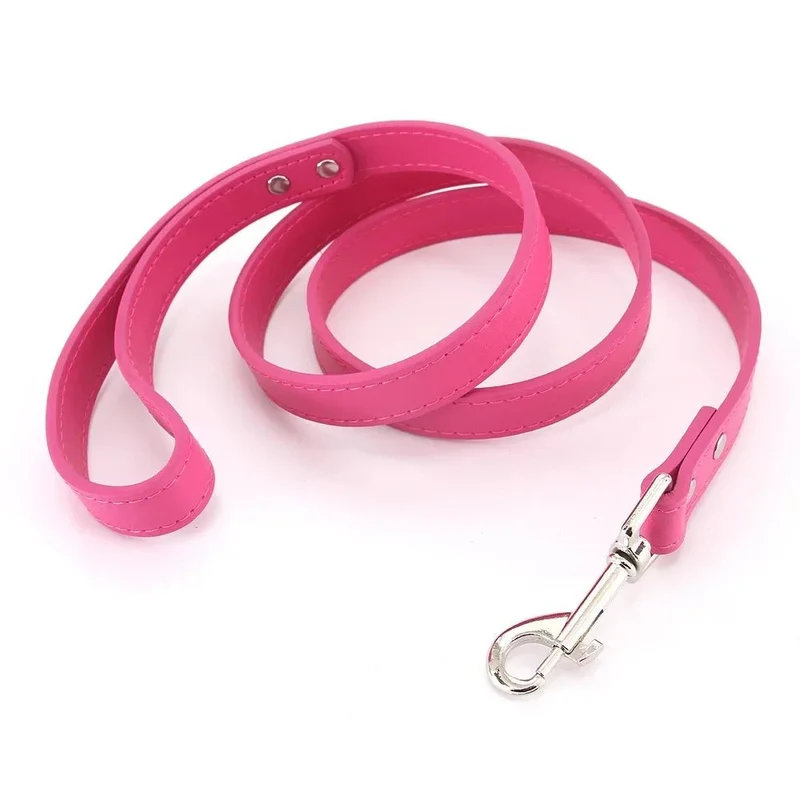 Laisse style cuir pour chiot