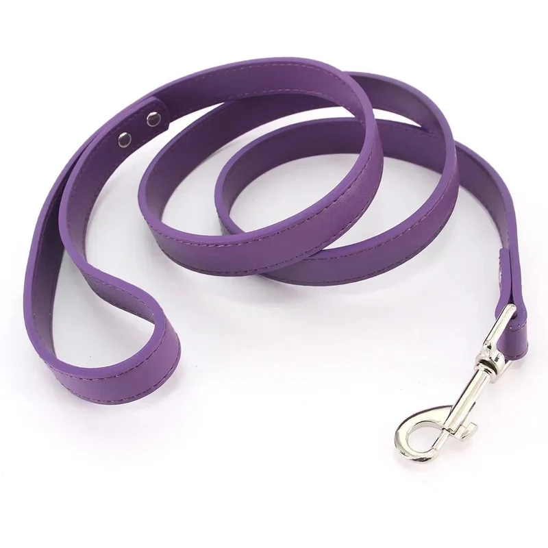 Laisse style cuir pour chiot