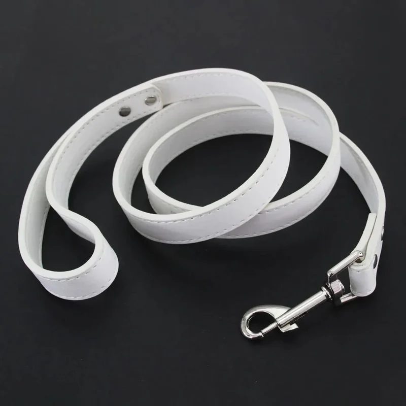 Laisse style cuir pour chiot