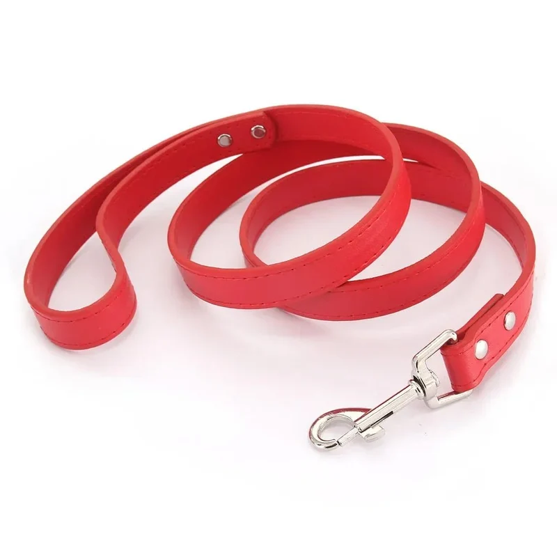 Laisse style cuir pour chiot