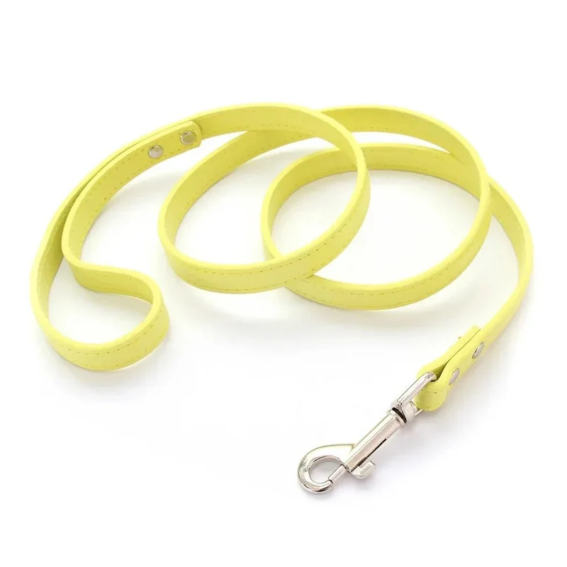 Laisse style cuir pour chiot