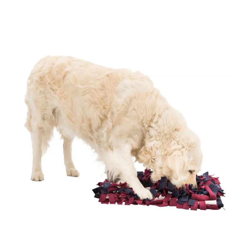Tapis à renifler Trixie