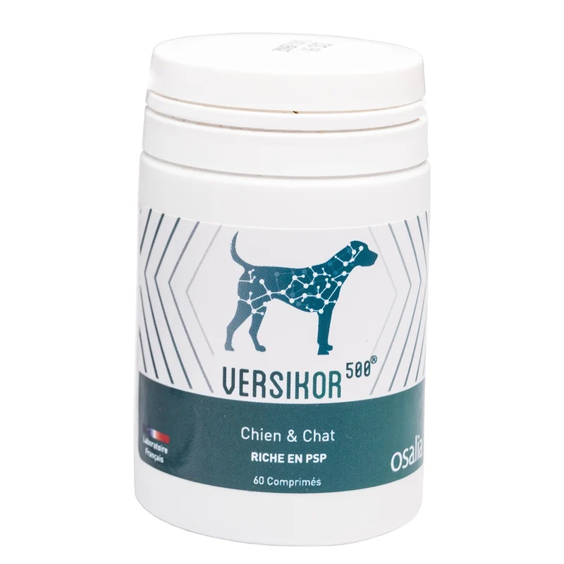 Versikor 500®
