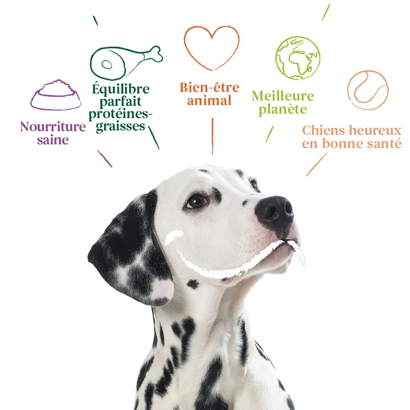 Yarrah bouchées bio Chien - Lot 12 x 405 g