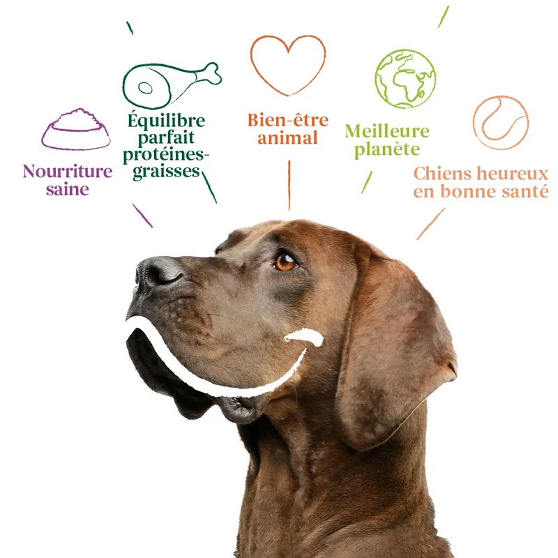 Yarrah croquettes bio pour chien sensible