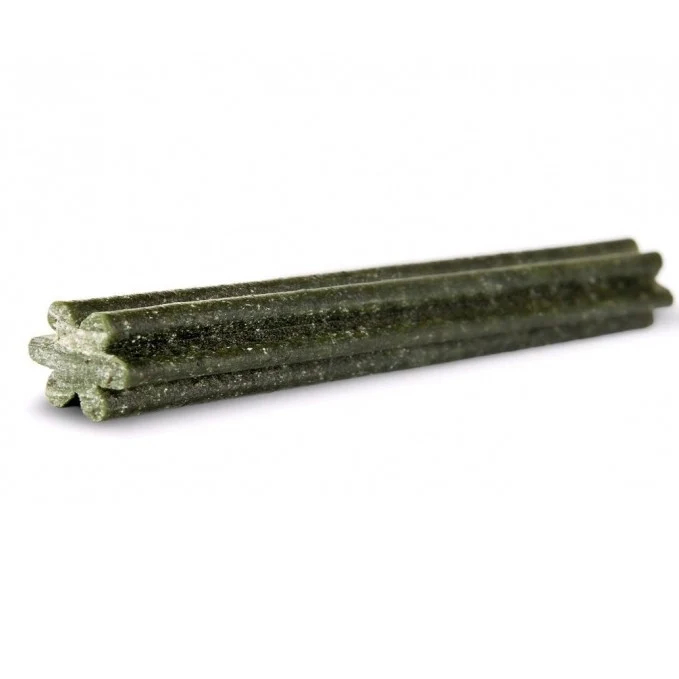 Dental Sticks