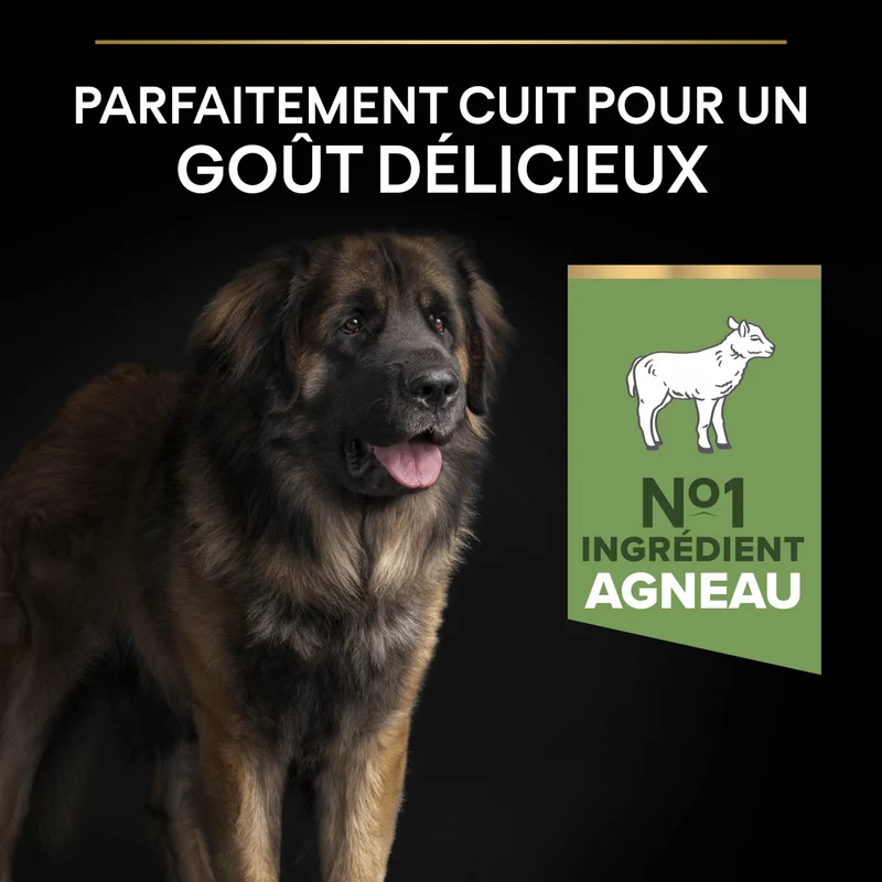 PRO PLAN Sensitive Digestion Large Robust Adult à la Agneau - Croquettes pour chien