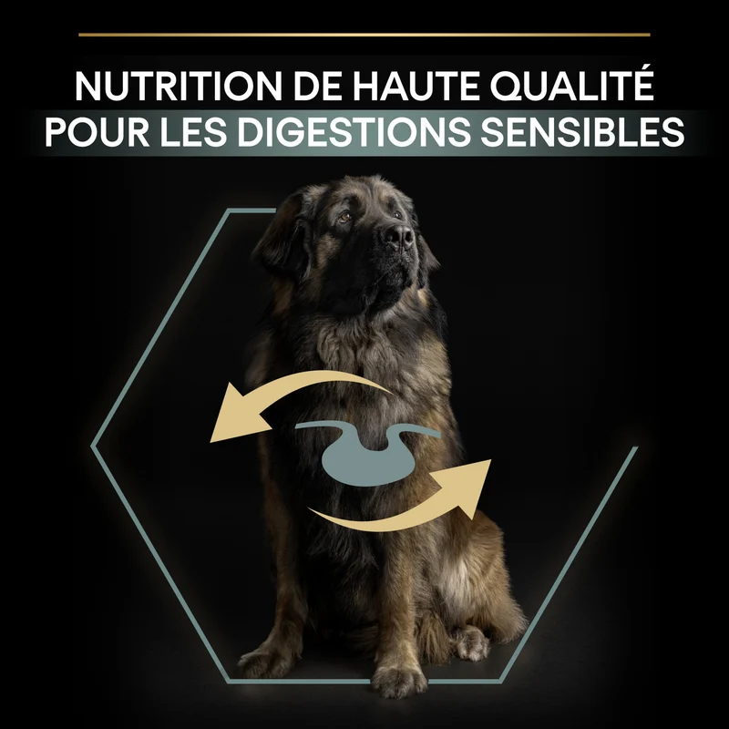 PRO PLAN Sensitive Digestion Large Robust Adult à la Agneau - Croquettes pour chien
