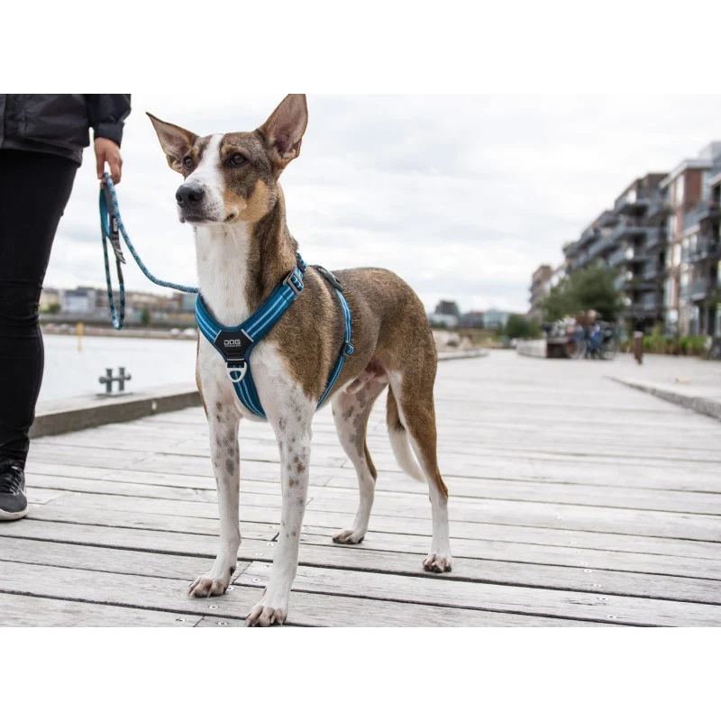 Dog Copenhagen Harnais confort Walk Air 1Taille: S 1Couleur: Bleu