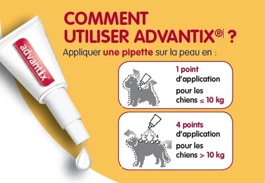 ADVANTIX TRES PETIT CHIEN 24 PIP