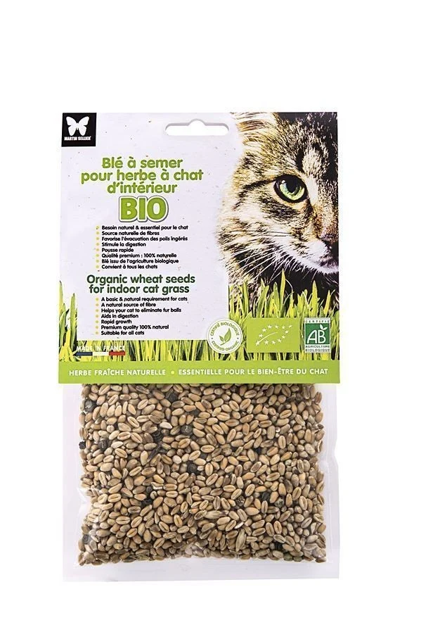 Blé bio à semer