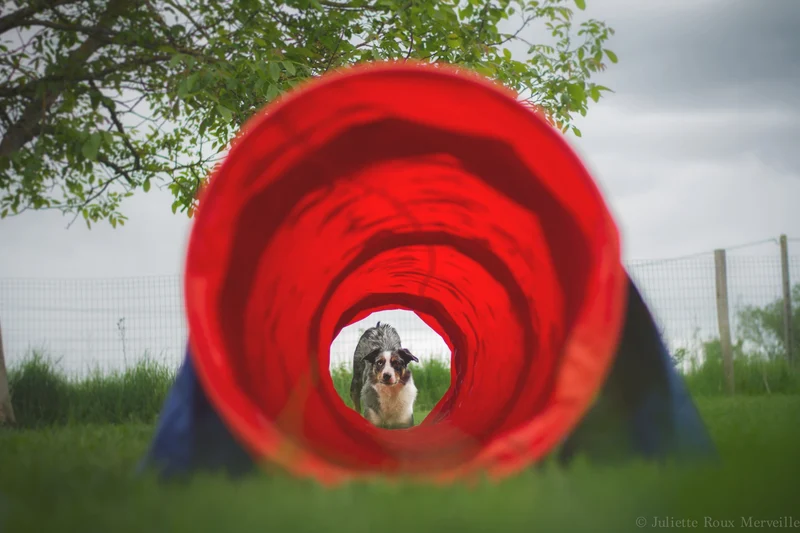 Pack agility maison