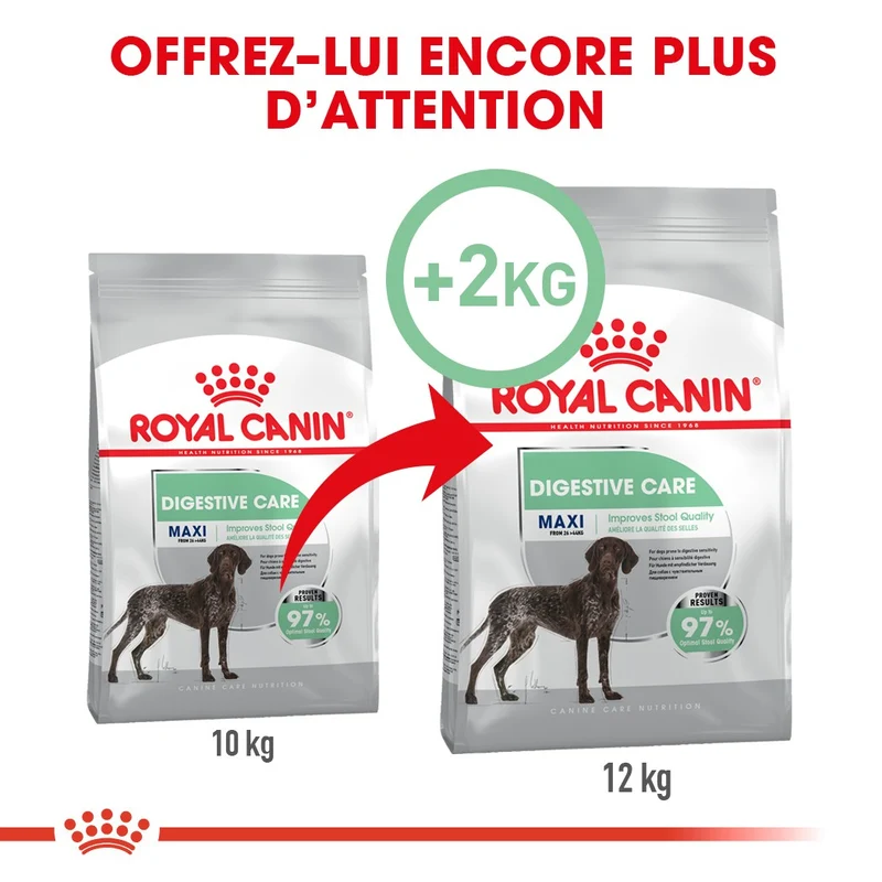 Royal Canin Maxi Digestive Care - Croquettes pour chien