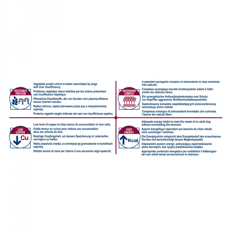 Royal Canin Veterinary Hepatic - Pour chien