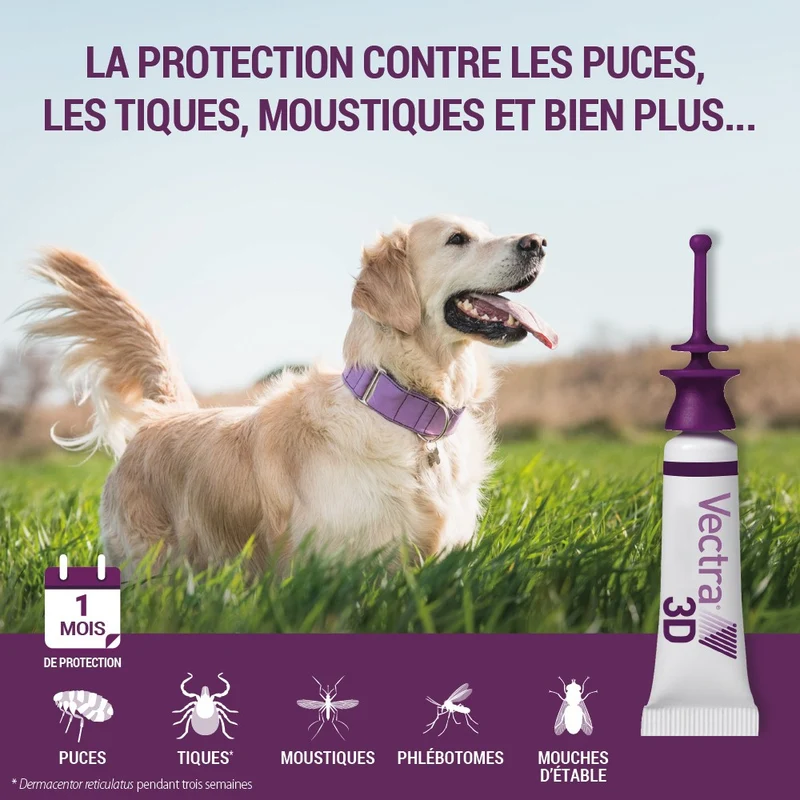 Pipettes antiparasitaires Vectra 3D Spot On Chien