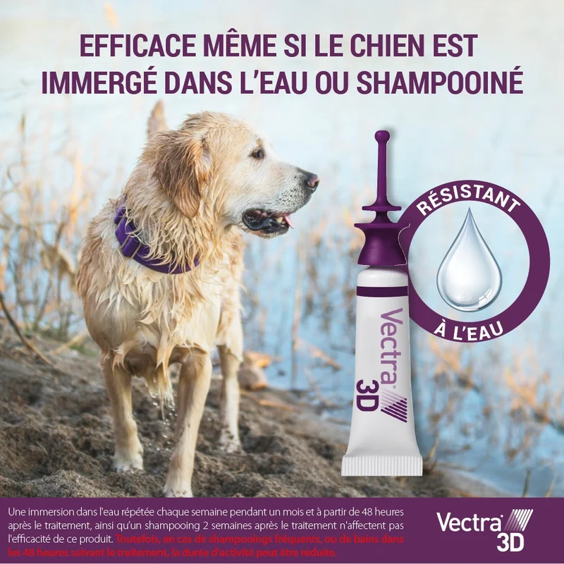 Pipettes antiparasitaires Vectra 3D Spot On Chien