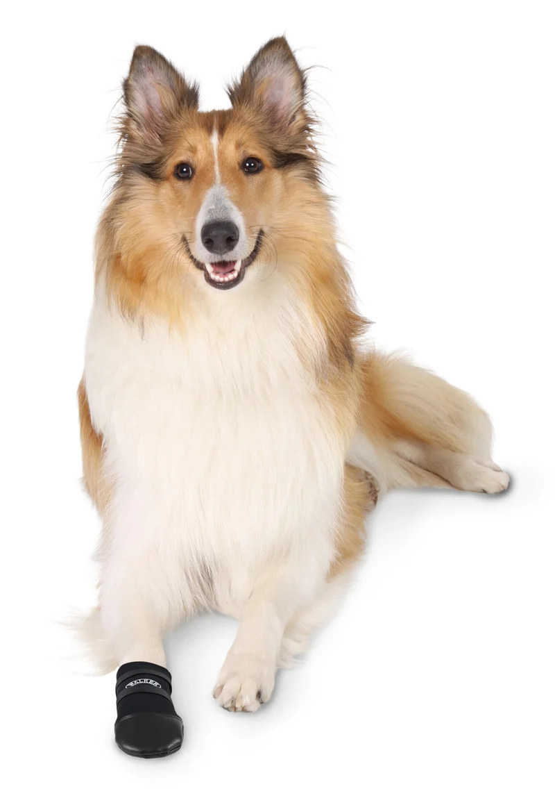 Chaussons Walker