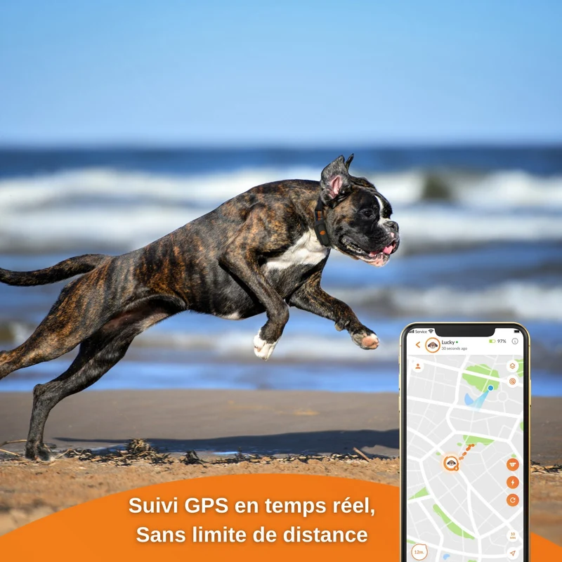 Collier GPS Weenect XS Dogs - Noir