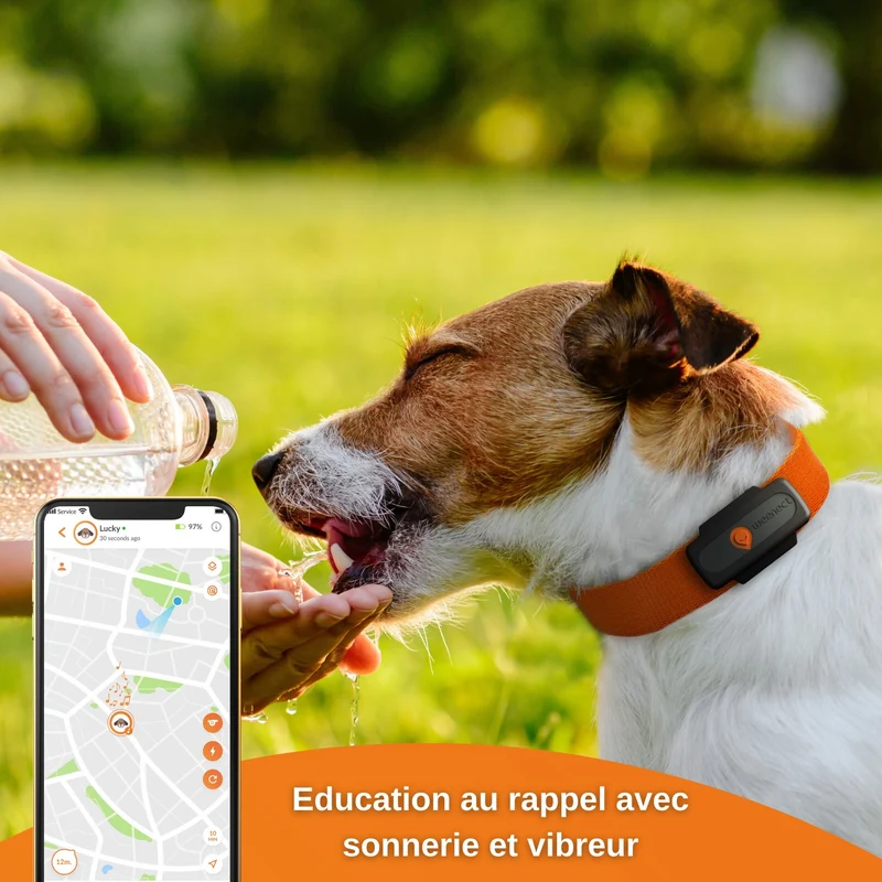 Collier GPS Weenect XS Dogs - Noir
