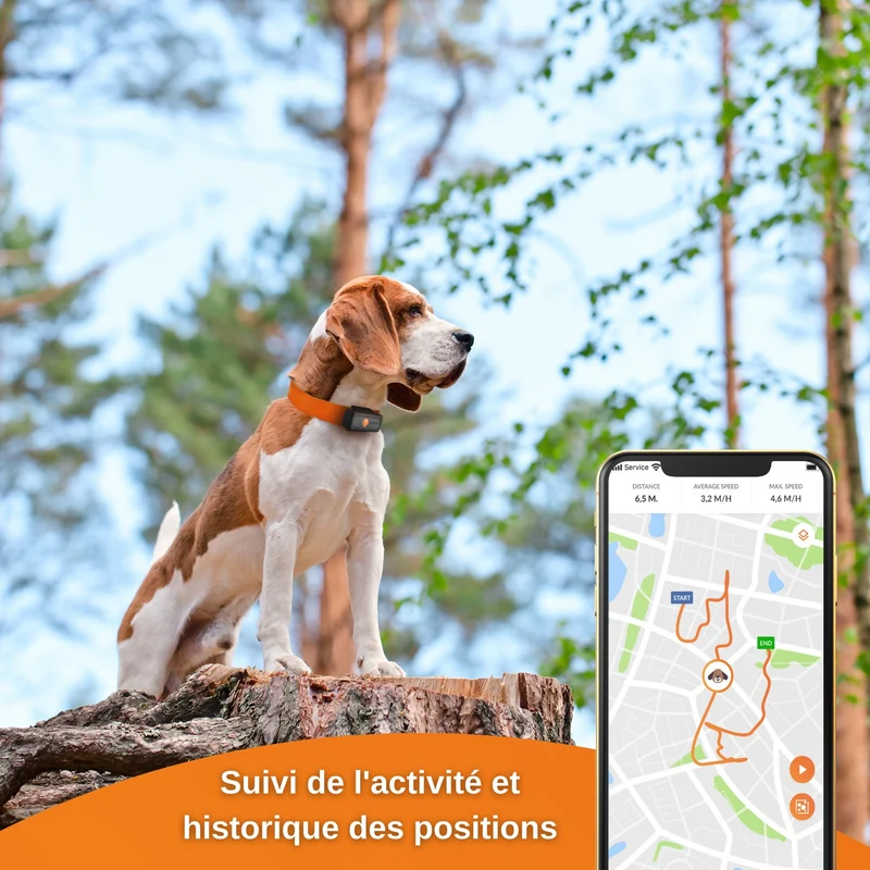 Collier GPS Weenect XS Dogs - Noir