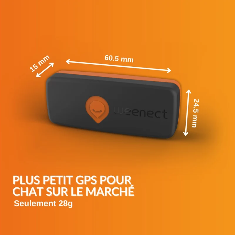 Collier GPS Wennect XS Cats - Noir