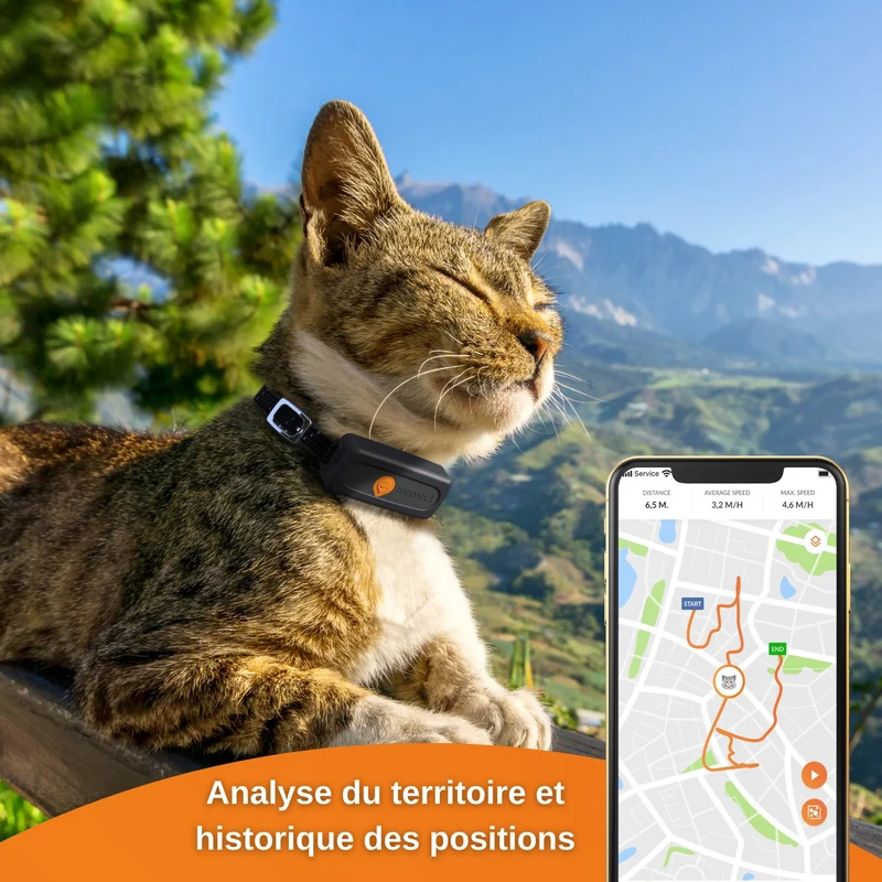 Collier GPS Wennect XS Cats - Noir