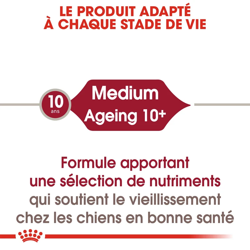 ROYAL CANIN Medium Ageing 10+ en Sauce - Pâtée pour chien
