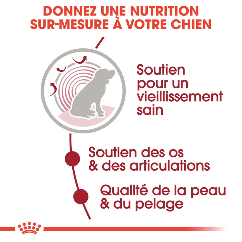 ROYAL CANIN Medium Ageing 10+ en Sauce - Pâtée pour chien
