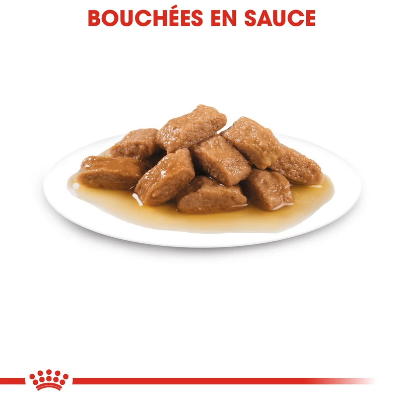 ROYAL CANIN Medium Ageing 10+ en Sauce - Pâtée pour chien