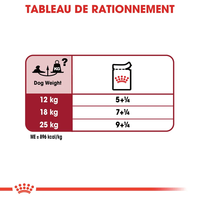 ROYAL CANIN Medium Ageing 10+ en Sauce - Pâtée pour chien