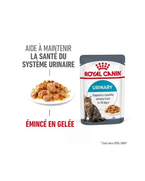 ROYAL CANIN Urinary Care en Gelée – Pâtée pour chat