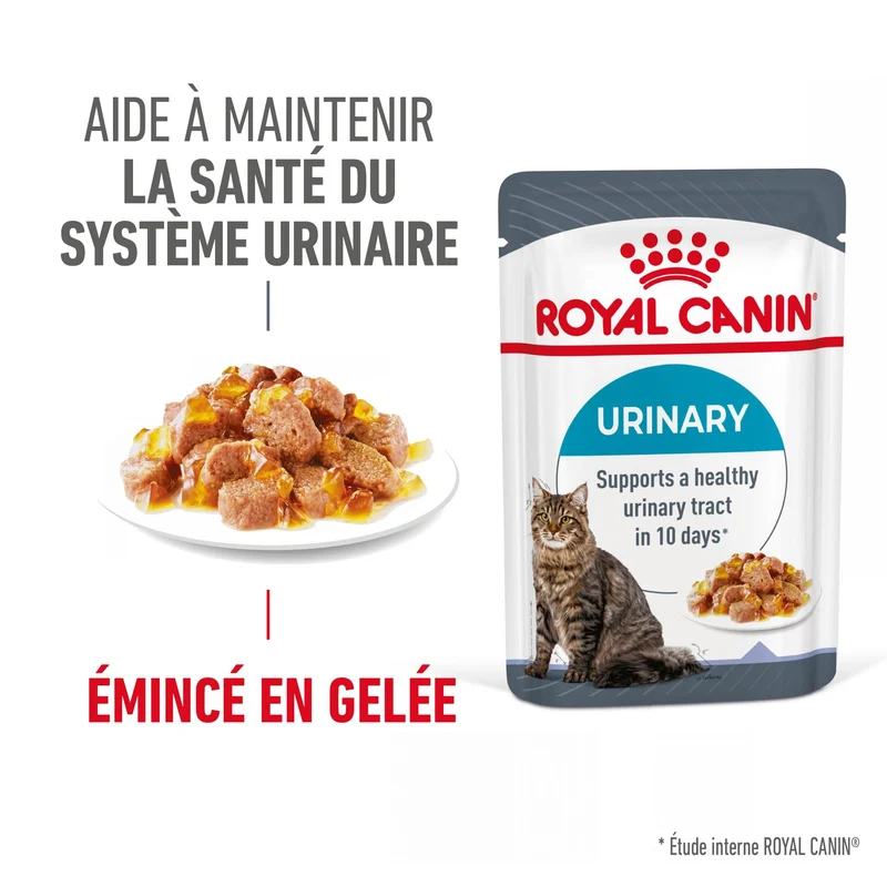ROYAL CANIN Urinary Care en Gelée – Pâtée pour chat