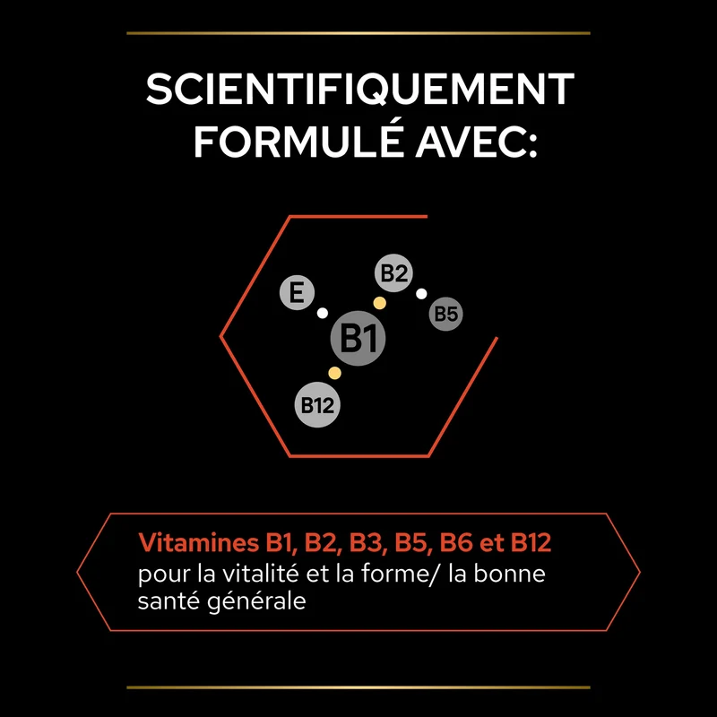 PRO PLAN Multi Vitamins+ en comprimés - Aliment complémentaire pour chien