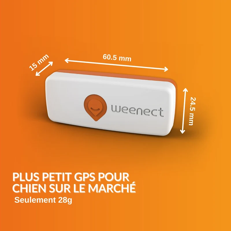 Collier GPS Weenect XS Dogs - Blanc