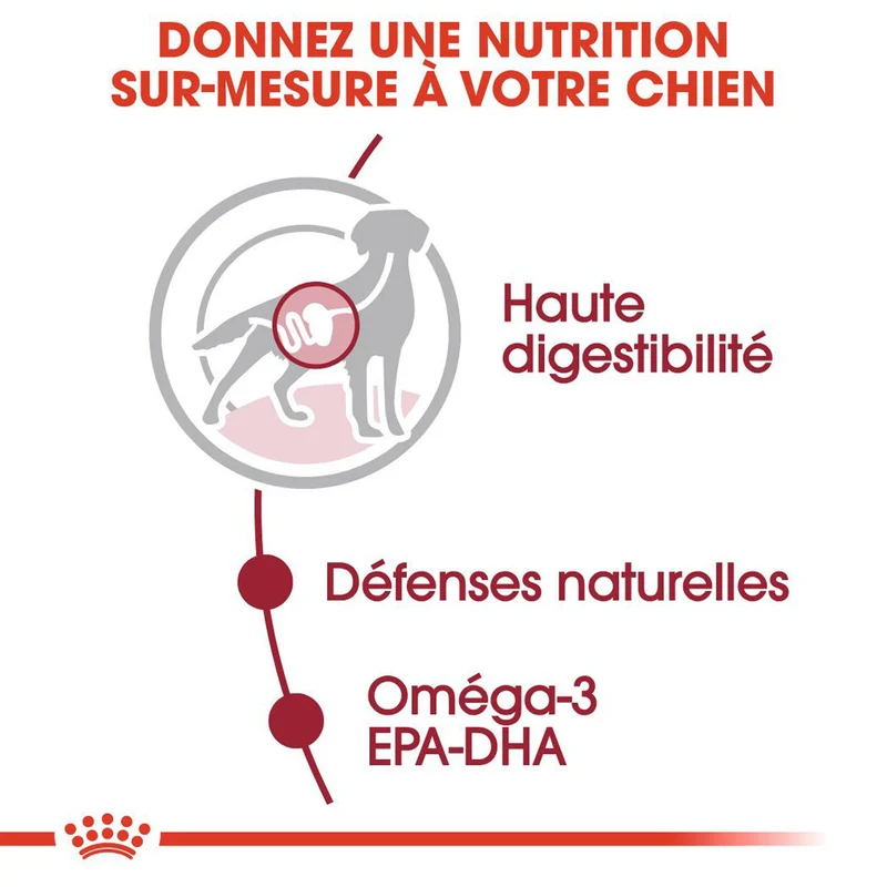 ROYAL CANIN Medium Adult en Sauce - Pâtée pour chien