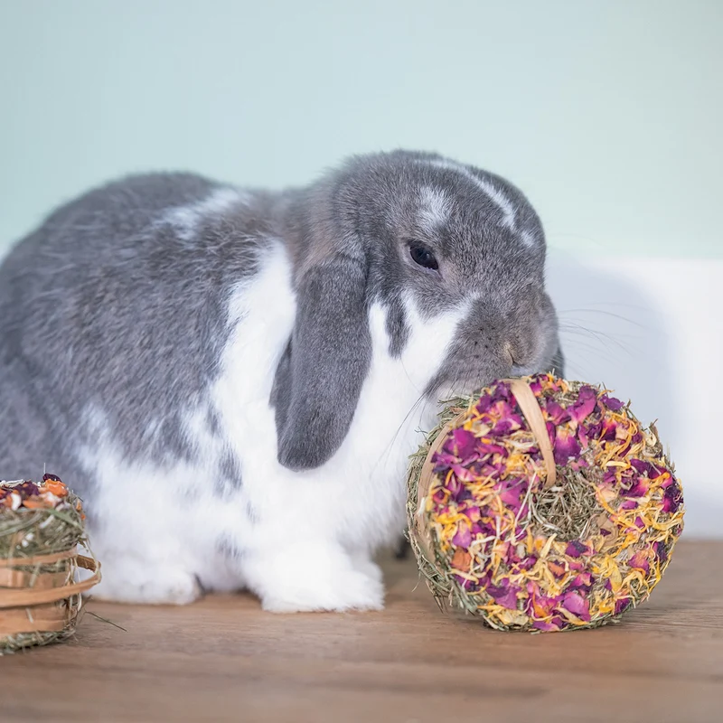 Donut de foin