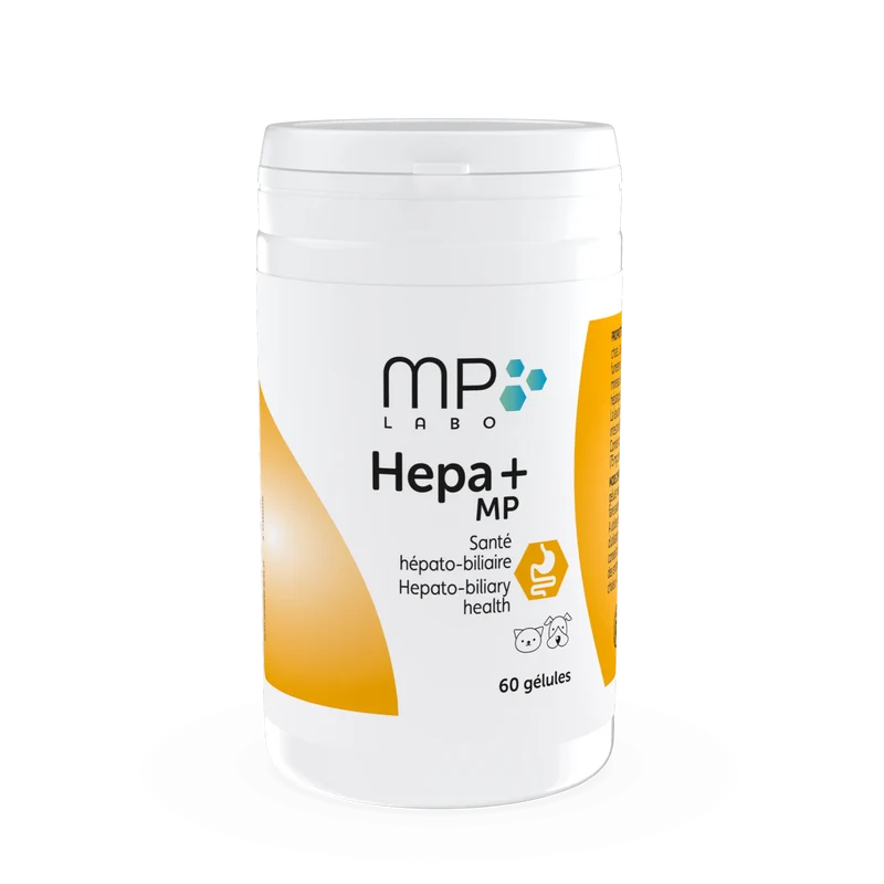 Hepa+ MP®