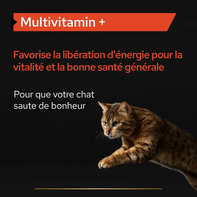PRO PLAN Multi Vitamins+ en poudre - Aliment complémentaire pour chat