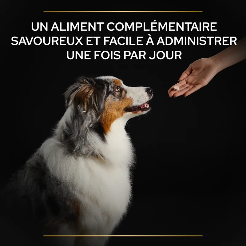 PRO PLAN® Natural Defenses+ en comprimés - Aliment complémentaire pour chien