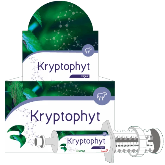 KRYPTOPHYT 12 SER. 60 ML