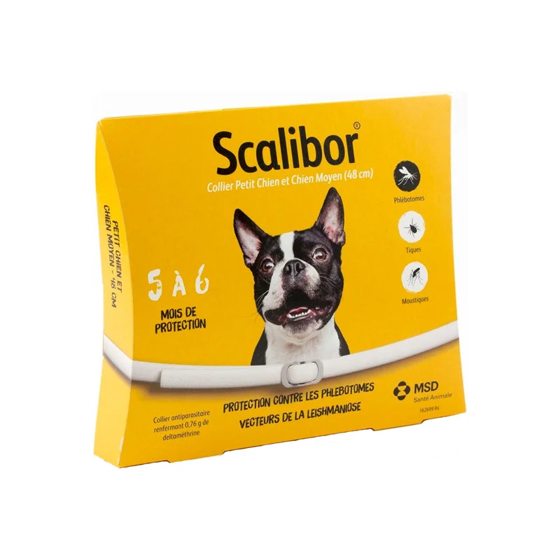 COLLIER SCALIBOR PT CHIEN X 6