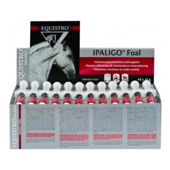 EQUISTRO IPALIGO FOAL 48 SER