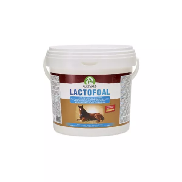 LACTOFOAL 14 KG