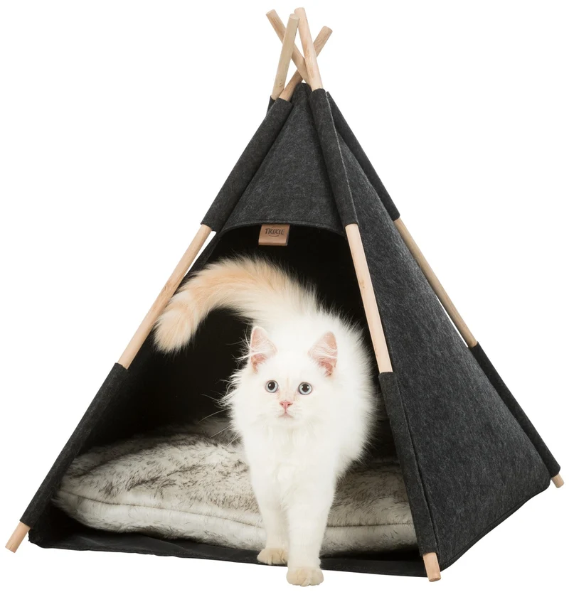 Abri tipi