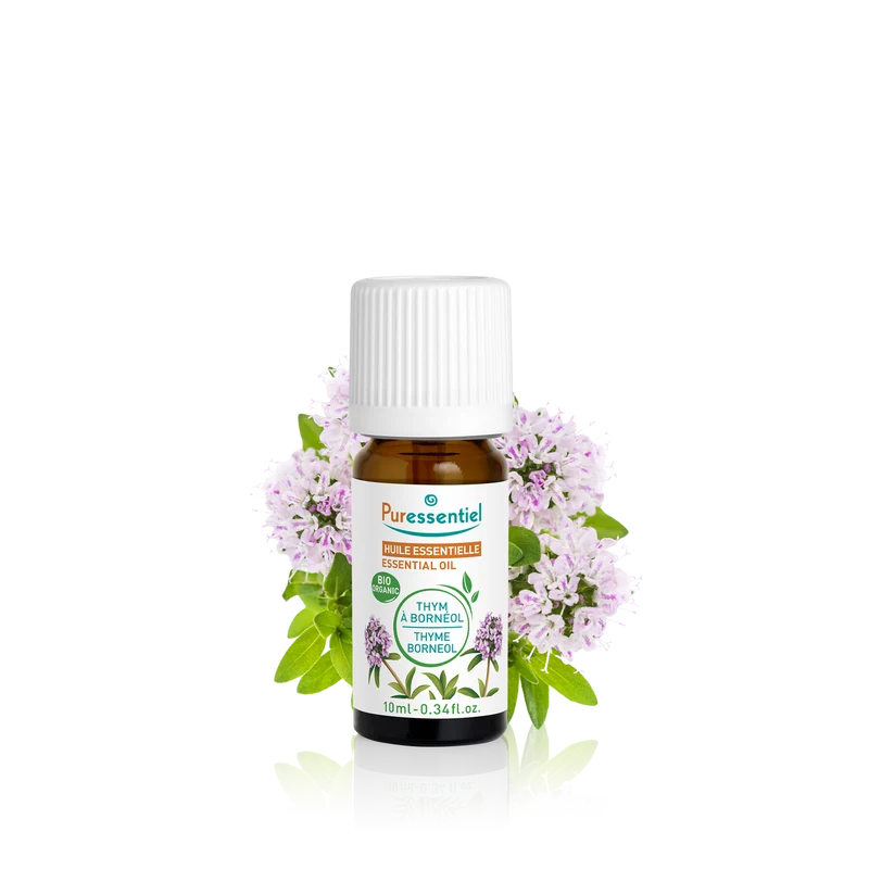 Huile Essentielle Thym à bornéol BIO