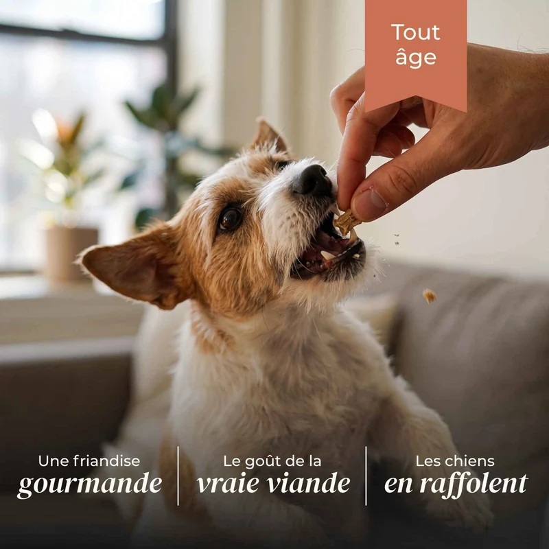 Friandises lapin