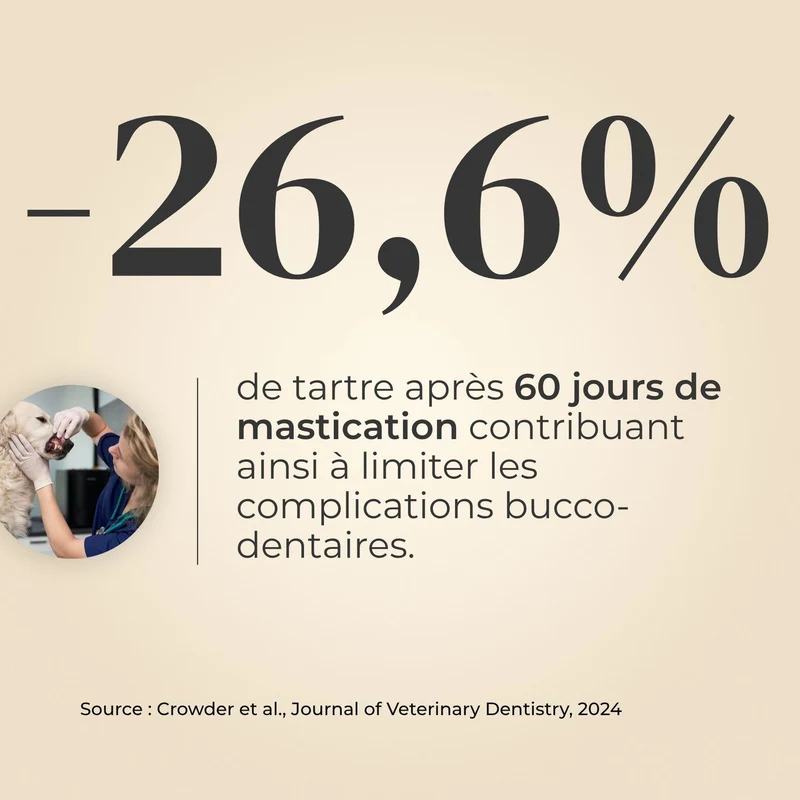 Trachées de bœuf