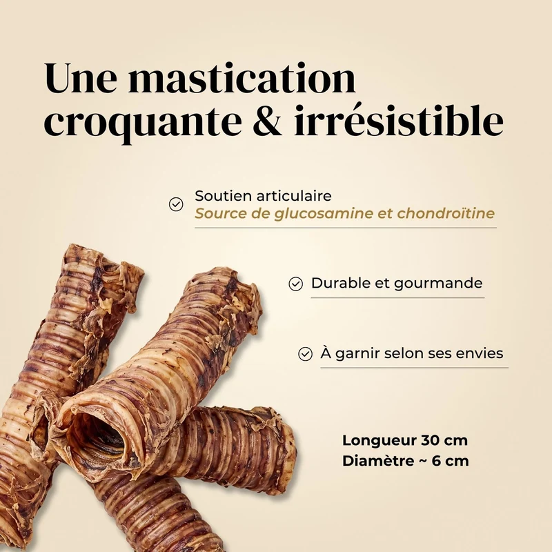Trachées de bœuf